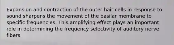 Expansion and contraction of the outer hair cells in response to sound sharpens the movement of the basilar membrane to specific frequencies. This amplifying effect plays an important role in determining the frequency selectivity of auditory nerve fibers.