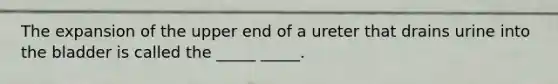 The expansion of the upper end of a ureter that drains urine into the bladder is called the _____ _____.