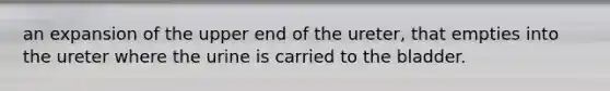 an expansion of the upper end of the ureter, that empties into the ureter where the urine is carried to the bladder.