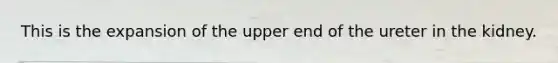 This is the expansion of the upper end of the ureter in the kidney.