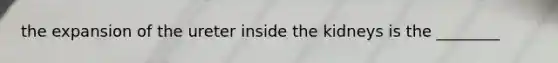 the expansion of the ureter inside the kidneys is the ________