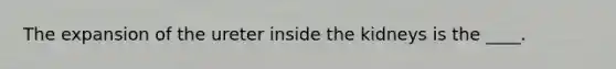 The expansion of the ureter inside the kidneys is the ____.