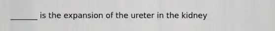 _______ is the expansion of the ureter in the kidney