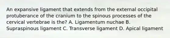 An expansive ligament that extends from the external occipital protuberance of the cranium to the spinous processes of the cervical vertebrae is the? A. Ligamentum nuchae B. Supraspinous ligament C. Transverse ligament D. Apical ligament