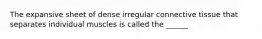The expansive sheet of dense irregular connective tissue that separates individual muscles is called the ______
