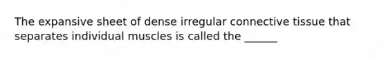 The expansive sheet of dense irregular connective tissue that separates individual muscles is called the ______