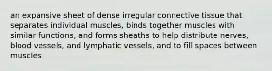 an expansive sheet of dense irregular <a href='https://www.questionai.com/knowledge/kYDr0DHyc8-connective-tissue' class='anchor-knowledge'>connective tissue</a> that separates individual muscles, binds together muscles with similar functions, and forms sheaths to help distribute nerves, <a href='https://www.questionai.com/knowledge/kZJ3mNKN7P-blood-vessels' class='anchor-knowledge'>blood vessels</a>, and <a href='https://www.questionai.com/knowledge/ki6sUebkzn-lymphatic-vessels' class='anchor-knowledge'>lymphatic vessels</a>, and to fill spaces between muscles