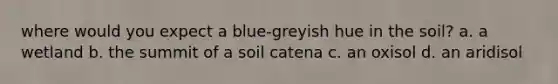 where would you expect a blue-greyish hue in the soil? a. a wetland b. the summit of a soil catena c. an oxisol d. an aridisol