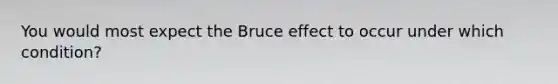 You would most expect the Bruce effect to occur under which condition?