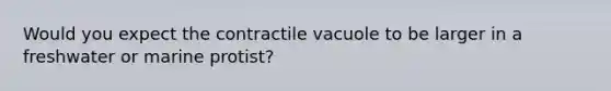 Would you expect the contractile vacuole to be larger in a freshwater or marine protist?