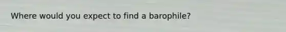 Where would you expect to find a barophile?