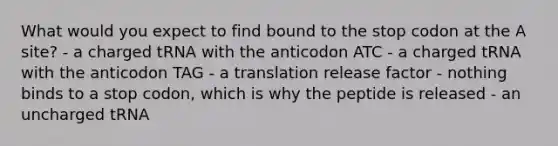 What would you expect to find bound to the stop codon at the A site? - a charged tRNA with the anticodon ATC - a charged tRNA with the anticodon TAG - a translation release factor - nothing binds to a stop codon, which is why the peptide is released - an uncharged tRNA