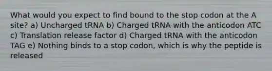 What would you expect to find bound to the stop codon at the A site? a) Uncharged tRNA b) Charged tRNA with the anticodon ATC c) Translation release factor d) Charged tRNA with the anticodon TAG e) Nothing binds to a stop codon, which is why the peptide is released