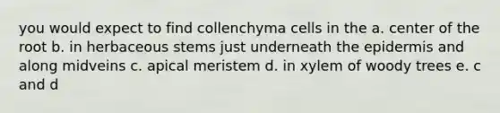 you would expect to find collenchyma cells in the a. center of the root b. in herbaceous stems just underneath the epidermis and along midveins c. apical meristem d. in xylem of woody trees e. c and d