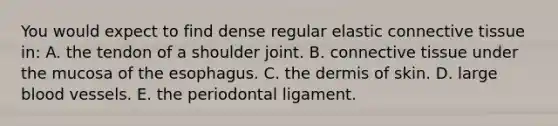 You would expect to find dense regular elastic connective tissue in: A. the tendon of a shoulder joint. B. connective tissue under the mucosa of the esophagus. C. the dermis of skin. D. large blood vessels. E. the periodontal ligament.