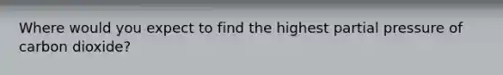 Where would you expect to find the highest partial pressure of carbon dioxide?