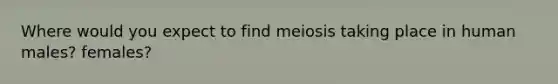 Where would you expect to find meiosis taking place in human males? females?