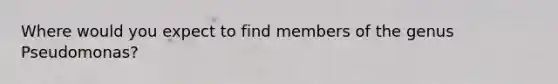 Where would you expect to find members of the genus Pseudomonas?