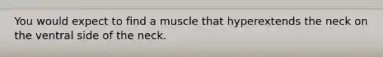 You would expect to find a muscle that hyperextends the neck on the ventral side of the neck.