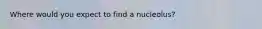 Where would you expect to find a nucleolus?