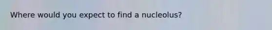 Where would you expect to find a nucleolus?