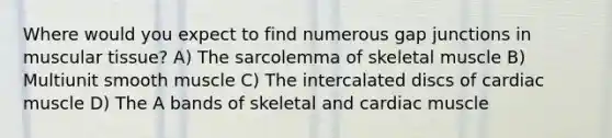 Where would you expect to find numerous gap junctions in muscular tissue? A) The sarcolemma of skeletal muscle B) Multiunit smooth muscle C) The intercalated discs of cardiac muscle D) The A bands of skeletal and cardiac muscle