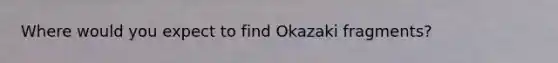 Where would you expect to find Okazaki fragments?