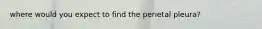 where would you expect to find the perietal pleura?