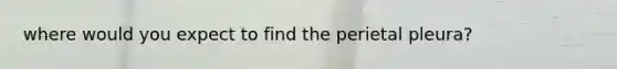 where would you expect to find the perietal pleura?