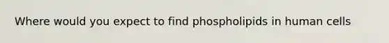 Where would you expect to find phospholipids in human cells