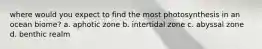 where would you expect to find the most photosynthesis in an ocean biome? a. aphotic zone b. intertidal zone c. abyssal zone d. benthic realm