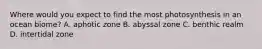 Where would you expect to find the most photosynthesis in an ocean biome? A. aphotic zone B. abyssal zone C. benthic realm D. intertidal zone