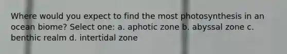 Where would you expect to find the most photosynthesis in an ocean biome? Select one: a. aphotic zone b. abyssal zone c. benthic realm d. intertidal zone