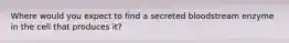 Where would you expect to find a secreted bloodstream enzyme in the cell that produces it?