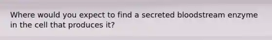 Where would you expect to find a secreted bloodstream enzyme in the cell that produces it?