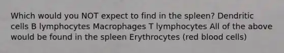 Which would you NOT expect to find in the spleen? Dendritic cells B lymphocytes Macrophages T lymphocytes All of the above would be found in the spleen Erythrocytes (red blood cells)