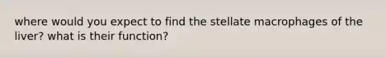where would you expect to find the stellate macrophages of the liver? what is their function?