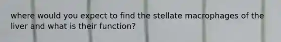 where would you expect to find the stellate macrophages of the liver and what is their function?