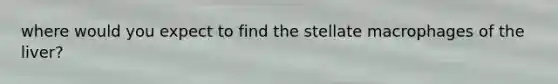 where would you expect to find the stellate macrophages of the liver?