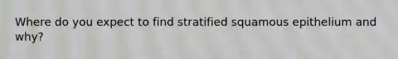 Where do you expect to find stratified squamous epithelium and why?
