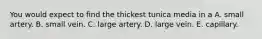 You would expect to find the thickest tunica media in a A. small artery. B. small vein. C. large artery. D. large vein. E. capillary.