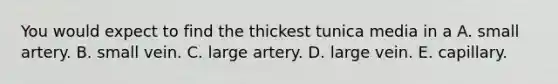 You would expect to find the thickest tunica media in a A. small artery. B. small vein. C. large artery. D. large vein. E. capillary.