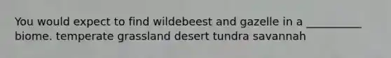 You would expect to find wildebeest and gazelle in a __________ biome. temperate grassland desert tundra savannah