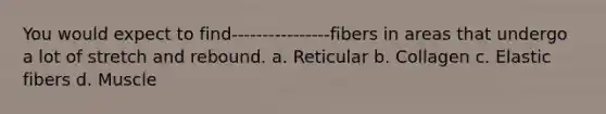 You would expect to find----------------fibers in areas that undergo a lot of stretch and rebound. a. Reticular b. Collagen c. Elastic fibers d. Muscle