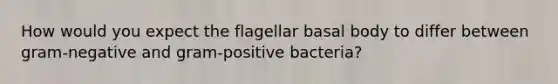 How would you expect the flagellar basal body to differ between gram-negative and gram-positive bacteria?