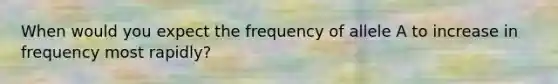 When would you expect the frequency of allele A to increase in frequency most rapidly?