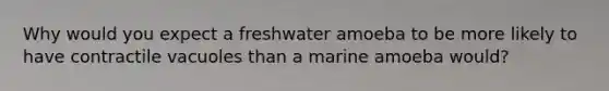 Why would you expect a freshwater amoeba to be more likely to have contractile vacuoles than a marine amoeba would?