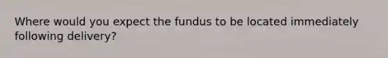 Where would you expect the fundus to be located immediately following delivery?