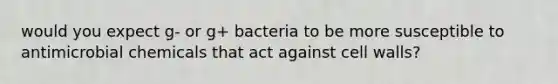 would you expect g- or g+ bacteria to be more susceptible to antimicrobial chemicals that act against cell walls?