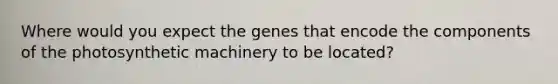 Where would you expect the genes that encode the components of the photosynthetic machinery to be located?